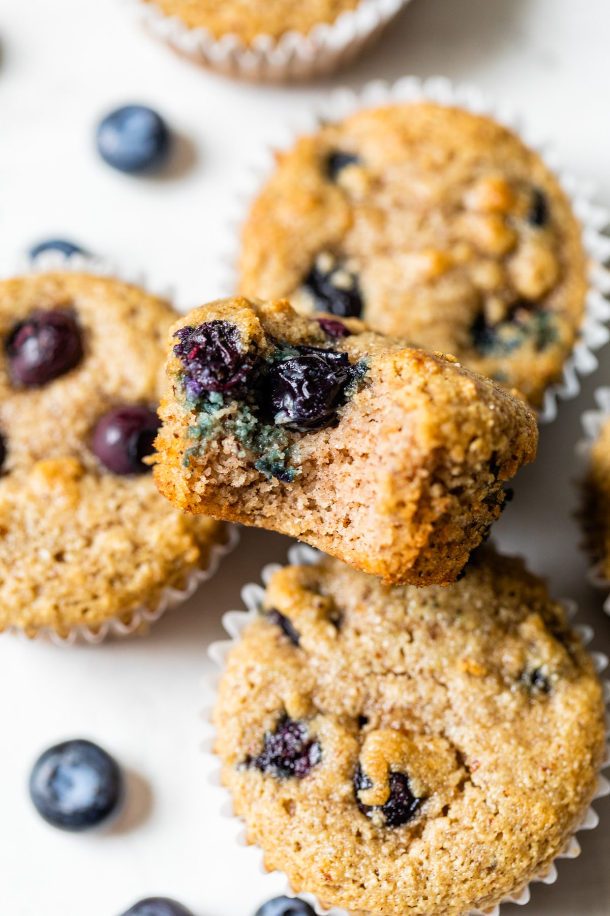 A close up of Muffin and Blueberry