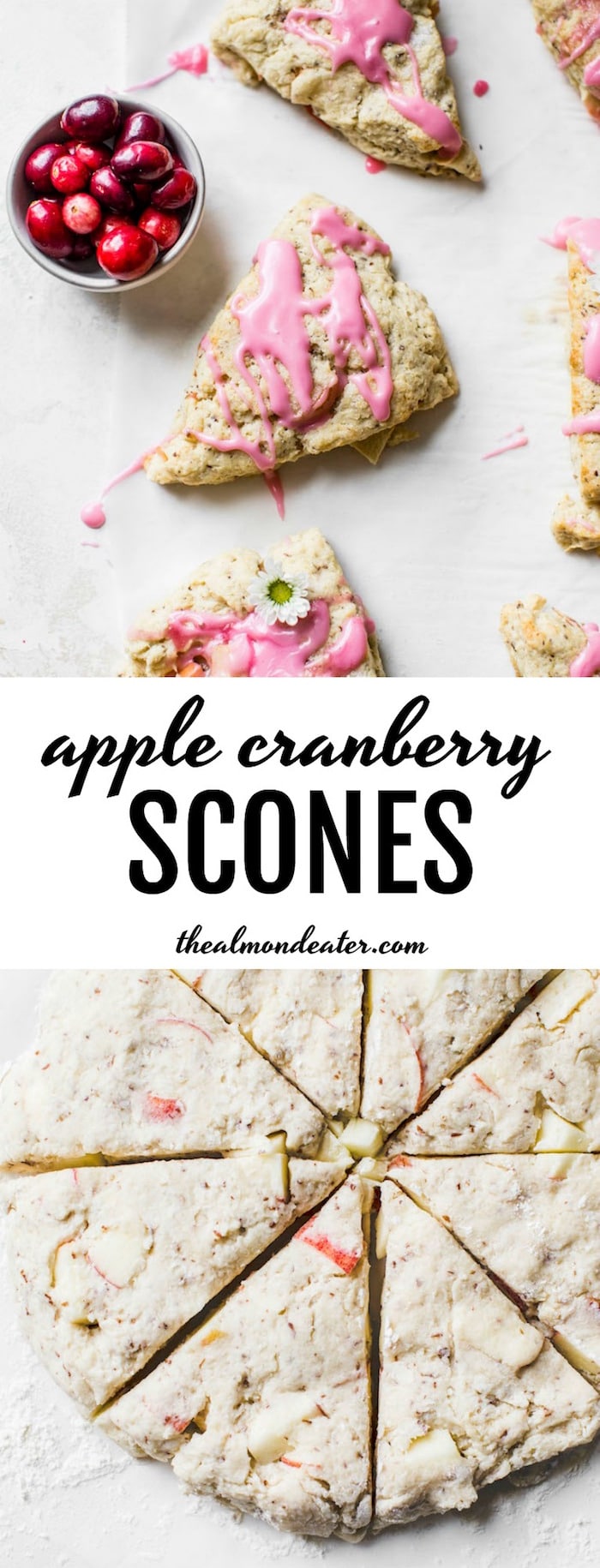 Apple Cranberry Scones - vegan-friendly scones filled with apples and topped with a sweet cranberry glaze | thealmondeater.com