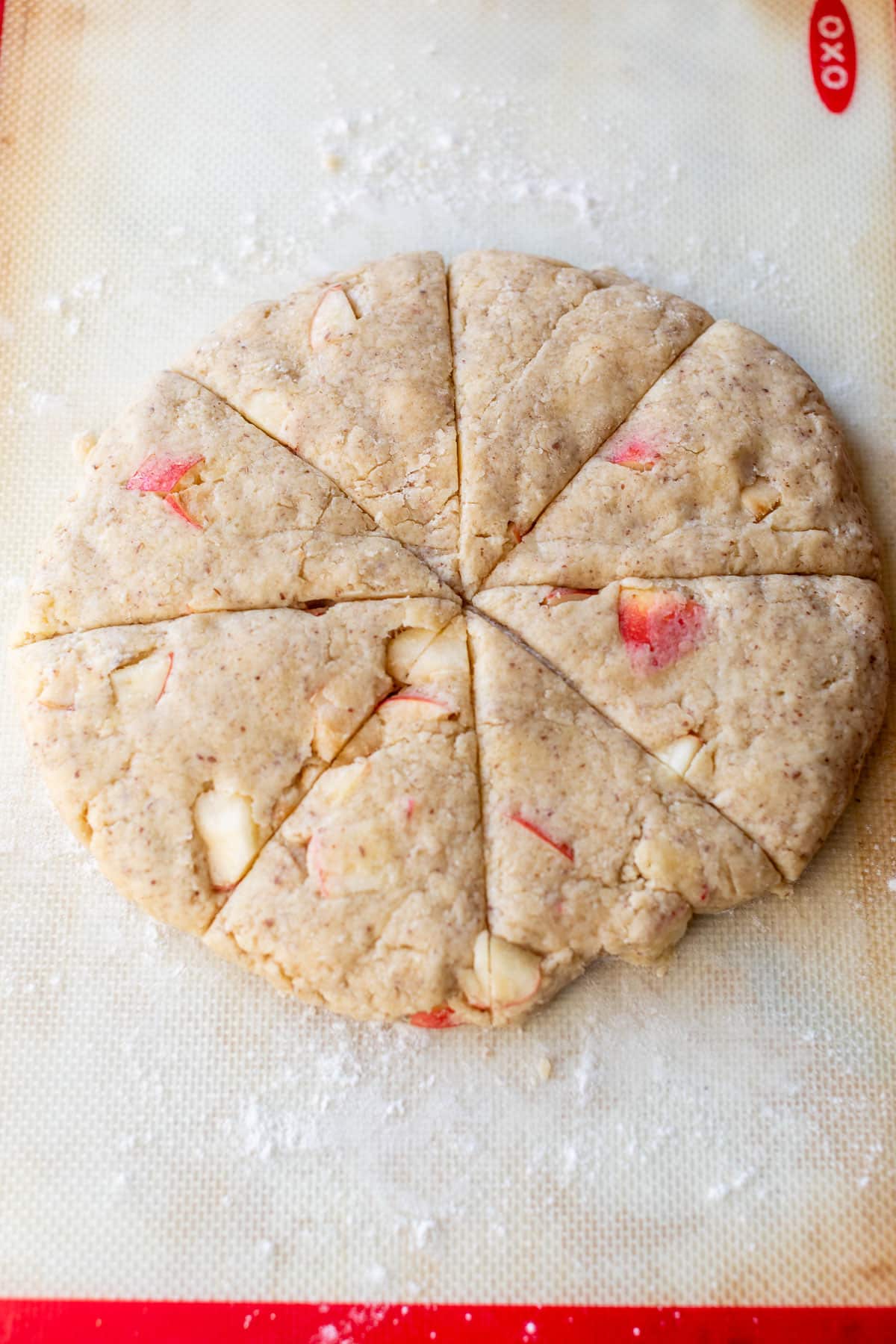 overhead view of a round disc of apple cranberry scone dough sliced into 8 scones.