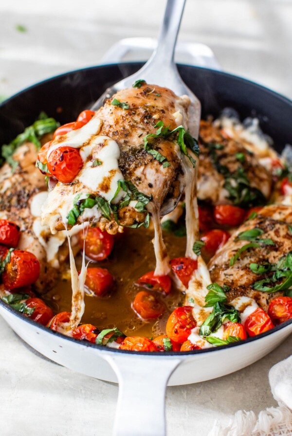 chicken topped with tomatoes and melted mozzarella cheese