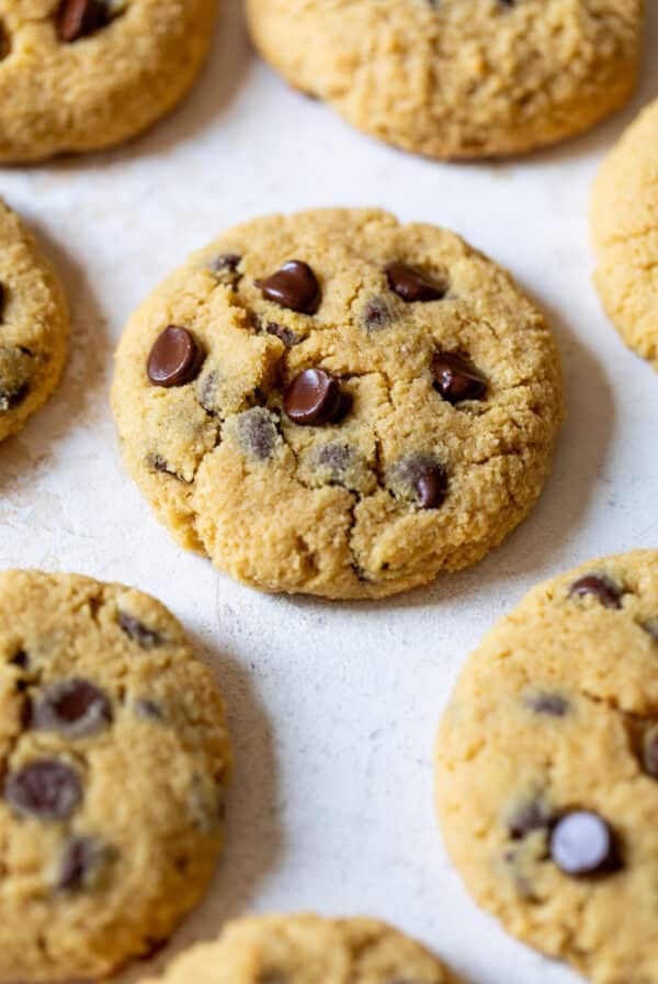 baked chocolate chip Coconut Flour Cookies on a white surface.