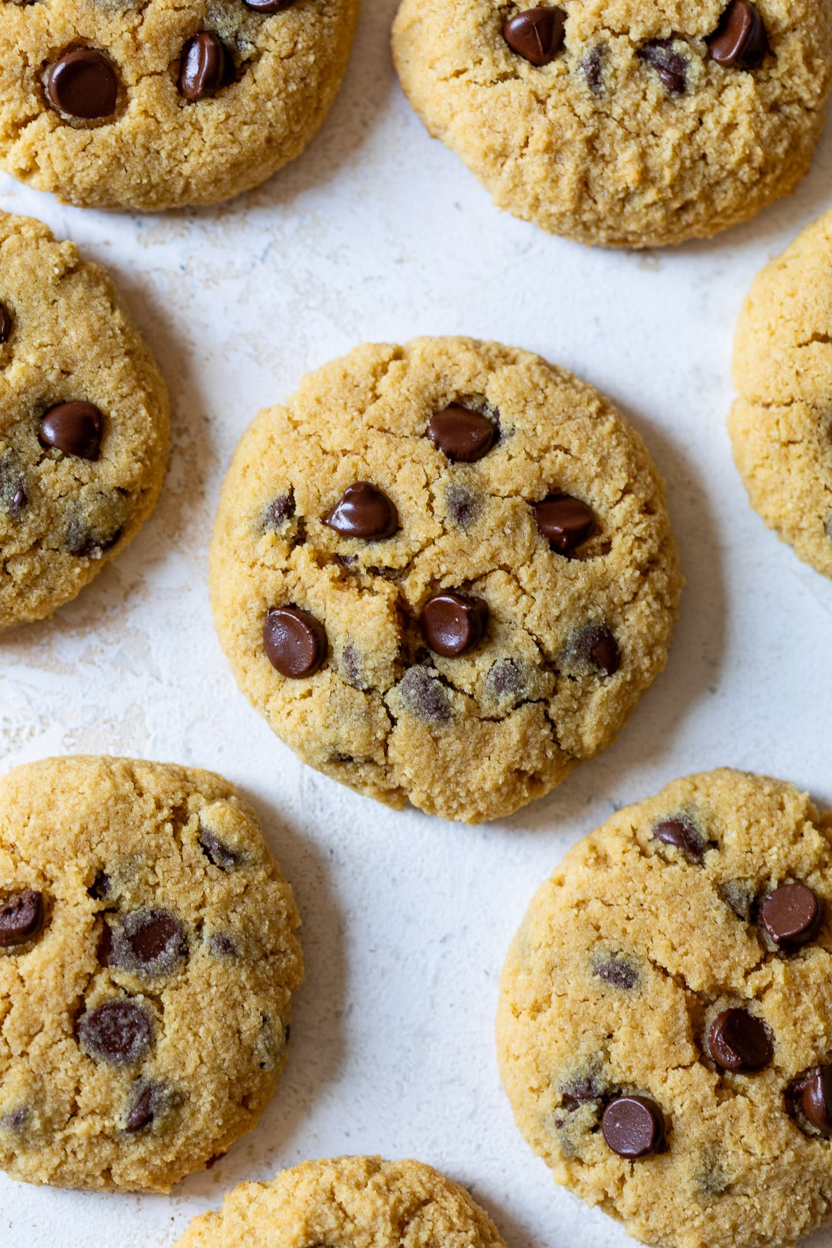 baked chocolate chip Coconut Flour Cookies on a white surface.