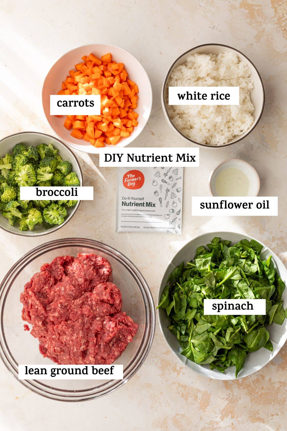 ingredients to make dog food in bowls