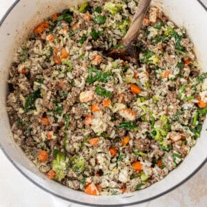 cooked dog food consisting of beef, vegetables and white rice in a dutch oven
