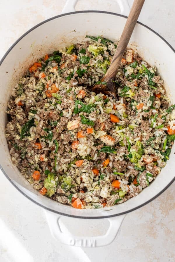 cooked dog food consisting of beef, vegetables and white rice in a dutch oven