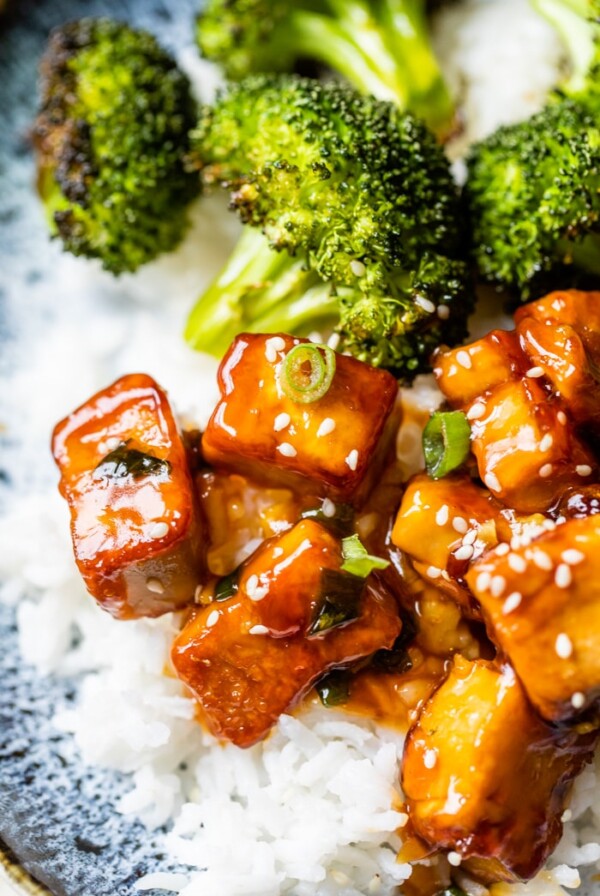 close up of tofu on top of rice