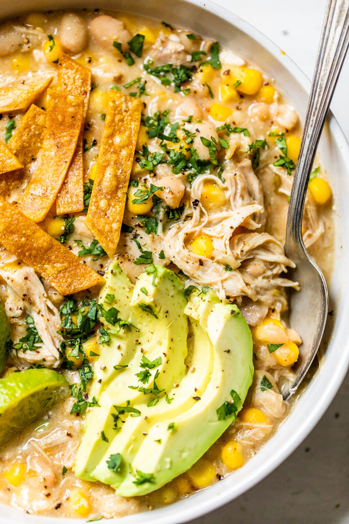 close up of a bowl of soup with shredded chicken, avocado slices and tortilla strips