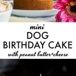 Mini Dog Birthday Cake | the perfect way to celebrate your pup's special day! | thealmondeater.com