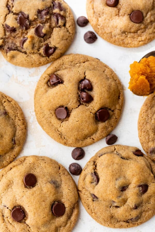 overhead view of baked pumpkin chocolate chip cookies.