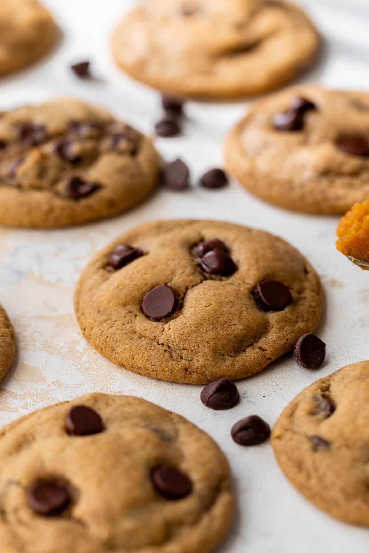 close up on baked pumpkin chocolate chip cookies.