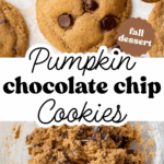Pinterest image with overlay text, "Pumpkin Chocolate Chip Cookies".